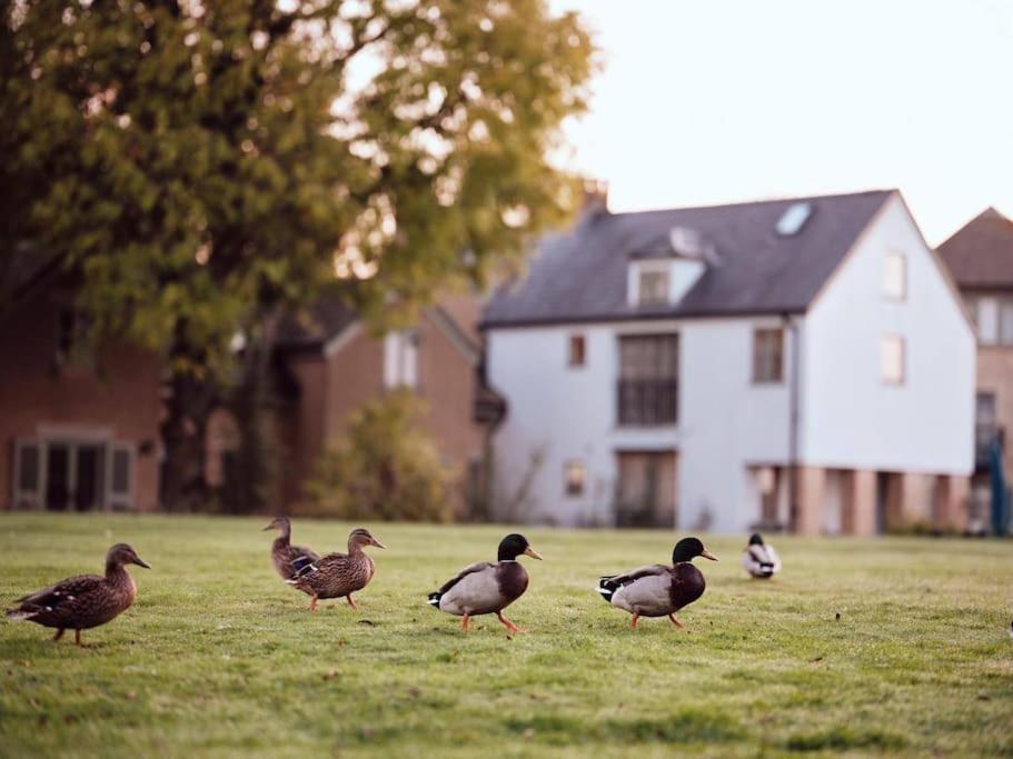 Castleford Cottage , Lowermill Estate Somerford Keynes Εξωτερικό φωτογραφία